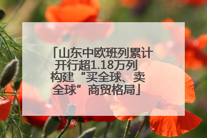山东中欧班列累计开行超1.18万列 构建“买全球、卖全球”商贸格局