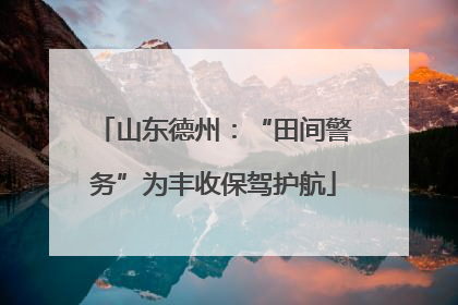 山东德州：“田间警务”为丰收保驾护航