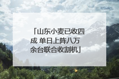 山东小麦已收四成 单日上阵八万余台联合收割机