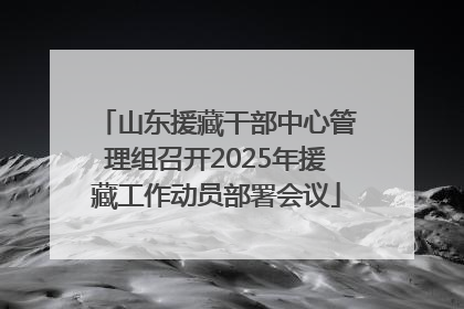 山东援藏干部中心管理组召开2025年援藏工作动员部署会议