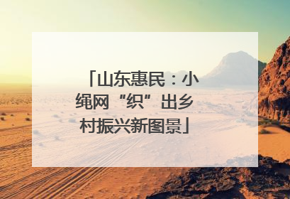 山东惠民：小绳网“织”出乡村振兴新图景