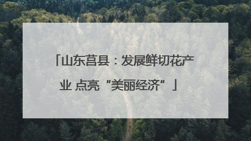 山东莒县：发展鲜切花产业 点亮“美丽经济”