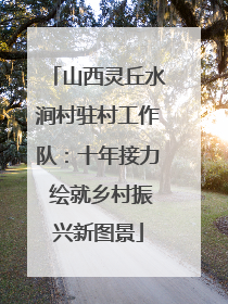 山西灵丘水涧村驻村工作队：十年接力 绘就乡村振兴新图景