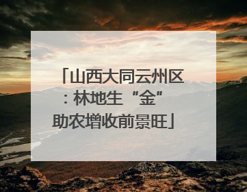 山西大同云州区：林地生“金” 助农增收前景旺
