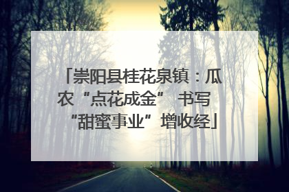 崇阳县桂花泉镇：瓜农“点花成金” 书写“甜蜜事业”增收经