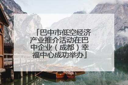 巴中市低空经济产业推介活动在巴中企业（成都）幸福中心成功举办