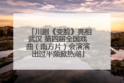 川剧《变脸》亮相武汉 第四届全国戏曲（南方片）会演演出过半频掀热潮