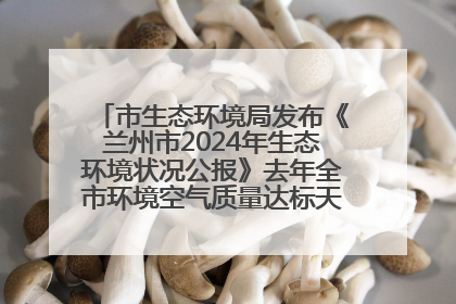 市生态环境局发布《兰州市2024年生态环境状况公报》去年全市环境空气质量达标天数301天