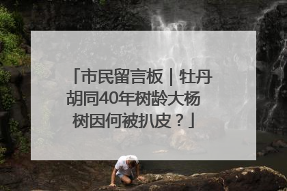 市民留言板｜牡丹胡同40年树龄大杨树因何被扒皮？