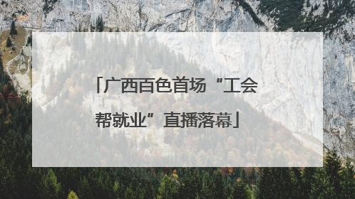 广西百色首场“工会帮就业”直播落幕