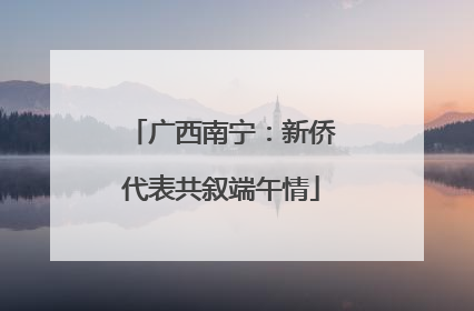 广西南宁：新侨代表共叙端午情