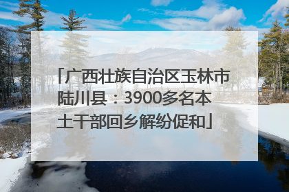 广西壮族自治区玉林市陆川县：3900多名本土干部回乡解纷促和
