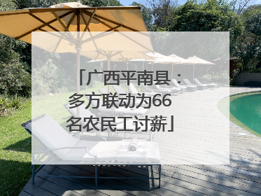广西平南县：多方联动为66名农民工讨薪