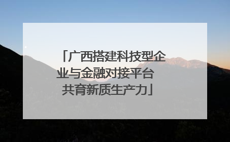 广西搭建科技型企业与金融对接平台 共育新质生产力