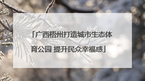 广西梧州打造城市生态体育公园 提升民众幸福感