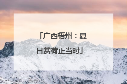 广西梧州:夏日赏荷正当时