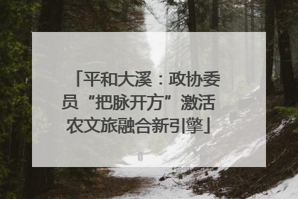平和大溪：政协委员“把脉开方”激活农文旅融合新引擎