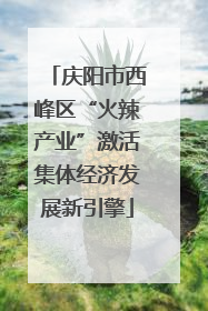 庆阳市西峰区“火辣产业”激活集体经济发展新引擎