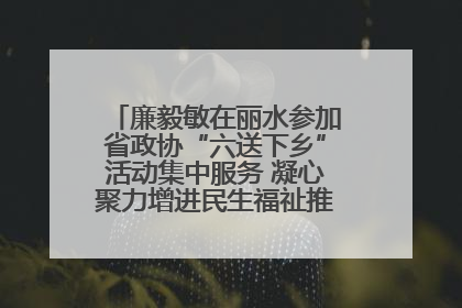 廉毅敏在丽水参加省政协“六送下乡”活动集中服务 凝心聚力增进民生福祉推进共同富裕