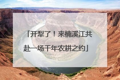 开犁了！来楠溪江共赴一场千年农耕之约