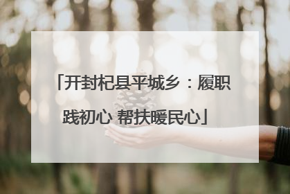 开封杞县平城乡：履职践初心 帮扶暖民心