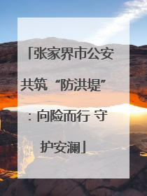 张家界市公安共筑“防洪堤”：向险而行 守护安澜
