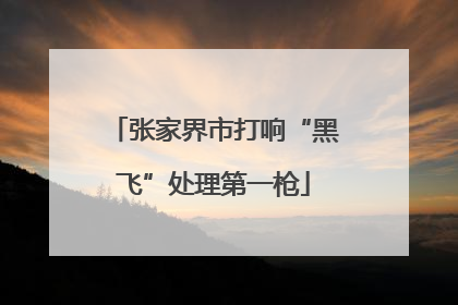 张家界市打响“黑飞”处理第一枪