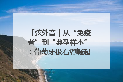 弦外音｜从“免疫者”到“典型样本”：葡萄牙极右翼崛起背后的欧洲困局