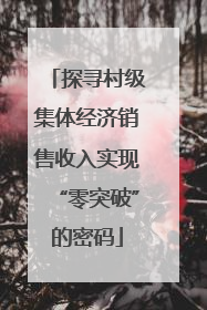 探寻村级集体经济销售收入实现“零突破”的密码