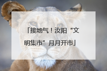 接地气！汝阳“文明集市”月月开市