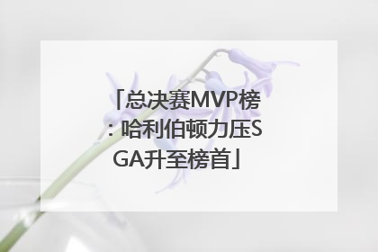 总决赛MVP榜：哈利伯顿力压SGA升至榜首