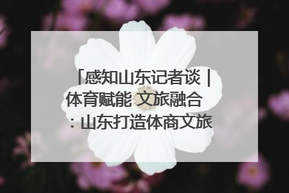 感知山东记者谈｜体育赋能 文旅融合：山东打造体商文旅融合发展新格局