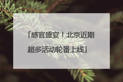 感官盛宴！北京近期超多活动轮番上线