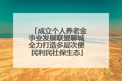 成立个人养老金事业发展联盟聊城全力打造多层次便民利民社保生态
