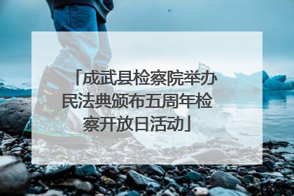 成武县检察院举办民法典颁布五周年检察开放日活动