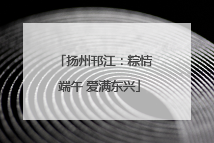 扬州邗江：粽情端午 爱满东兴