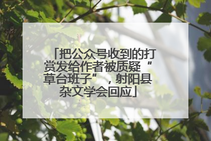 把公众号收到的打赏发给作者被质疑“草台班子”，射阳县杂文学会回应