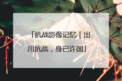 抗战影像记忆｜出川抗战，身已许国