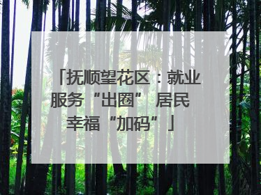 抚顺望花区：就业服务“出圈” 居民幸福“加码”