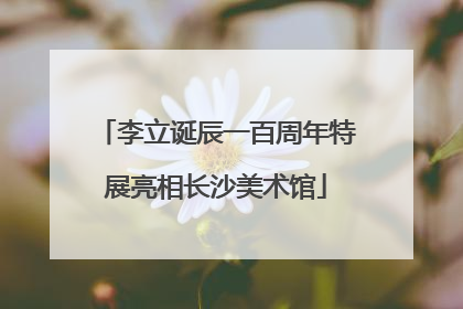 李立诞辰一百周年特展亮相长沙美术馆