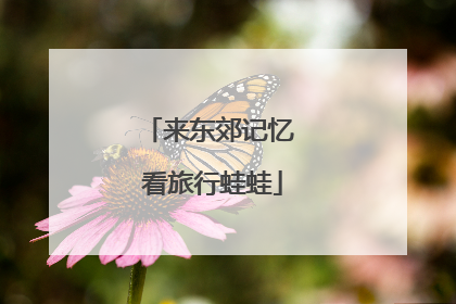 来东郊记忆 看旅行蛙蛙