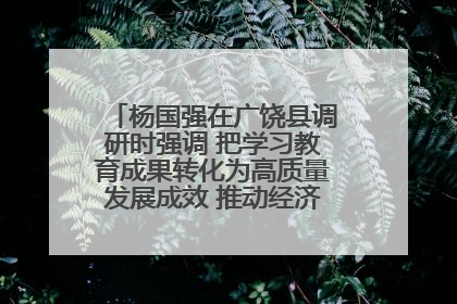 杨国强在广饶县调研时强调 把学习教育成果转化为高质量发展成效 推动经济稳健向好进中提质