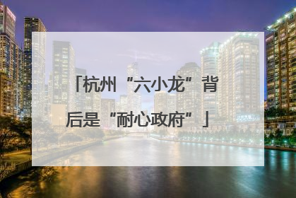 杭州“六小龙”背后是“耐心政府”
