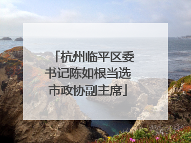 杭州临平区委书记陈如根当选市政协副主席