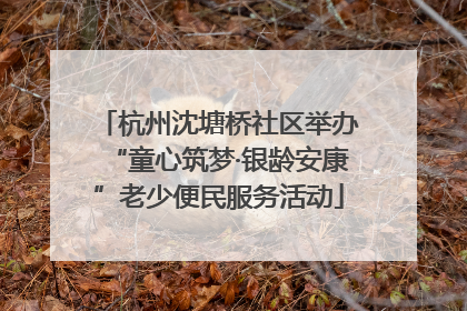 杭州沈塘桥社区举办“童心筑梦·银龄安康”老少便民服务活动
