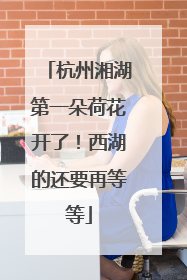 杭州湘湖第一朵荷花开了！西湖的还要再等等