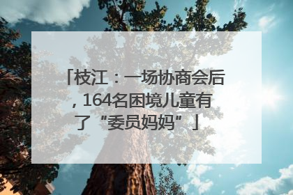 枝江：一场协商会后，164名困境儿童有了“委员妈妈”