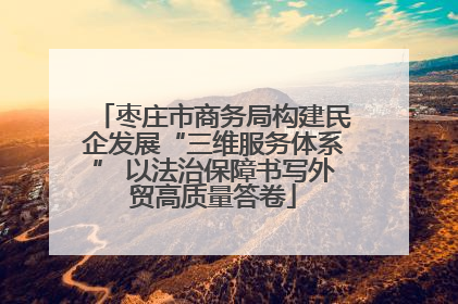 枣庄市商务局构建民企发展“三维服务体系” 以法治保障书写外贸高质量答卷