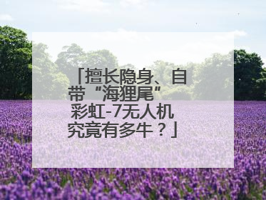 擅长隐身、自带“海狸尾” 彩虹-7无人机究竟有多牛？
