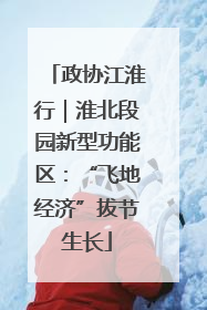 政协江淮行｜淮北段园新型功能区：“飞地经济”拔节生长